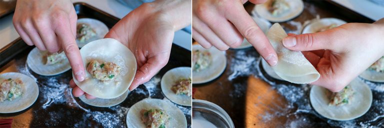 Japanese Pork Gyoza | Emi Cooks