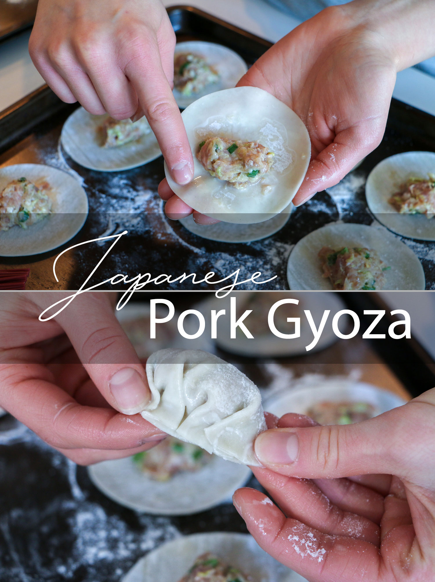 Japanese Pork Gyoza | Emi Cooks